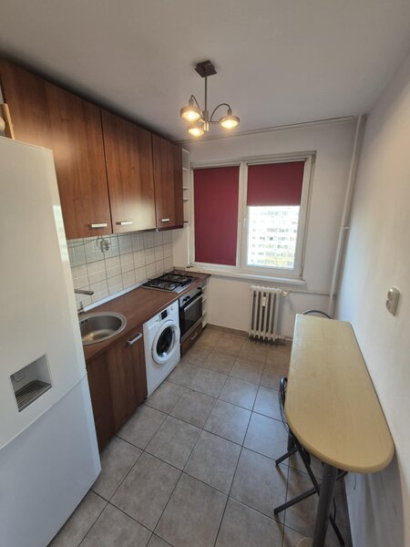 Colentina, Doamna Ghica Rond.